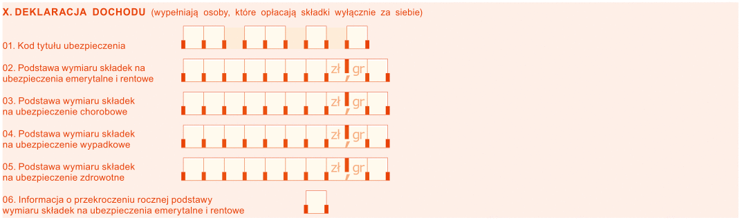 ZUS DRA - jak wypełnić blok X